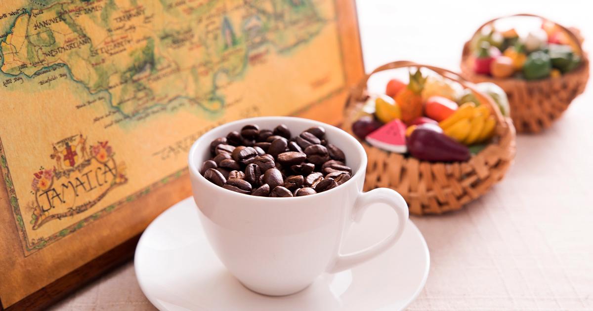 Why Montego Bay, Jamaica should be your next Caribbean adventure